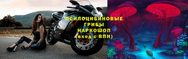 ПСИЛОЦИБИНОВЫЕ ГРИБЫ Вязьма