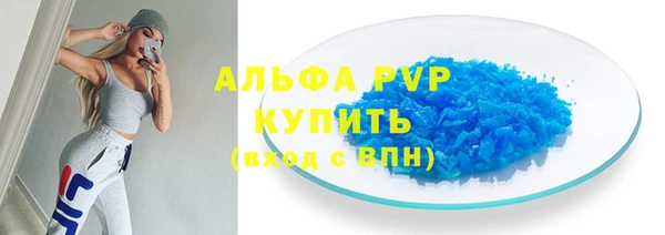 ПСИЛОЦИБИНОВЫЕ ГРИБЫ Вязьма