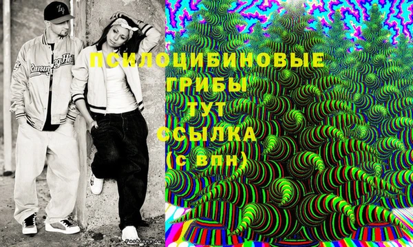 ПСИЛОЦИБИНОВЫЕ ГРИБЫ Вязьма