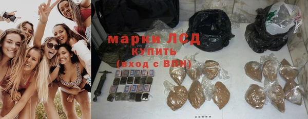 ПСИЛОЦИБИНОВЫЕ ГРИБЫ Вязьма