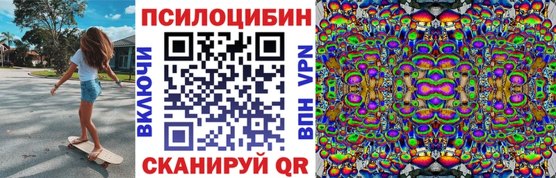 Купить закладки  Олонец  Галлюциногенные грибы мицелий 