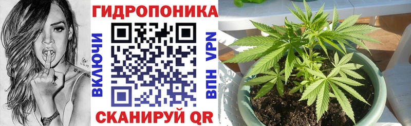 Каннабис MAZAR Олонец