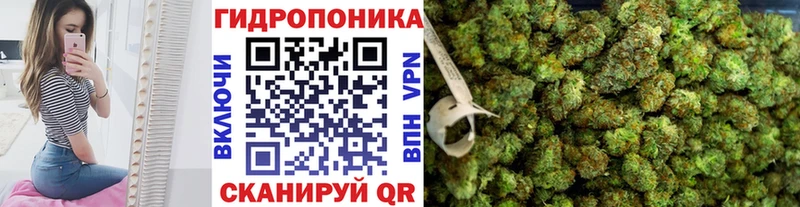 МАРИХУАНА сатива  Купить  Олонец 